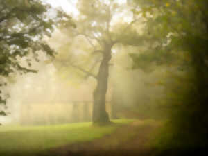 photo Visite commentée à Bazoches en Néerlandais