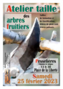 photo Atelier taille des arbres fruitiers