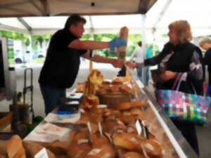 photo Printemps des producteurs locaux de Bischwiller