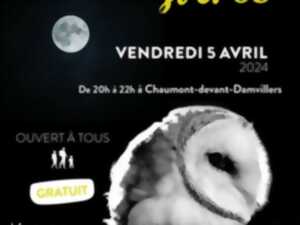 photo Le marais et sa biodiversité