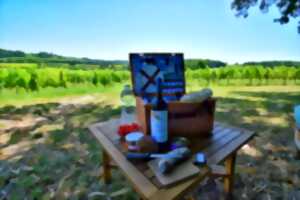 Pique-nique dans les vignes au Château Hostens-Picant