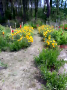 photo Fête du jardin de Nouines