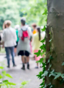 photo Balade entre nature et patrimoine