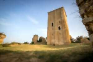 photo Journées Européennes du Patrimoine : le donjon de Moncontour