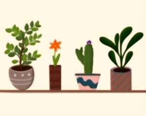 photo Troc plantes