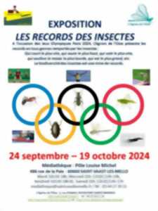 photo Exposition | Les records des insectes