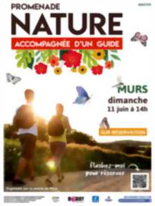 photo Balade nature accompagnée d'un guide