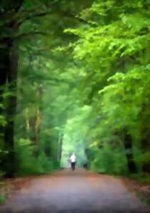 photo Randonnée pédestre (6/13km)