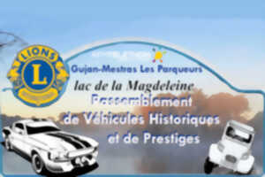 Rassemblement de voitures historiques & de prestiges