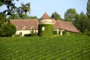 Visite des chais et dégustation | Château Terre Vieille