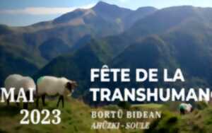 photo Fête de la Transhumance
