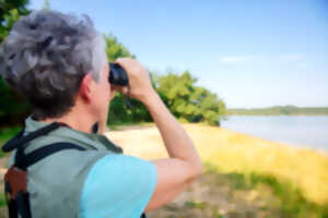 Balade nature, les oiseaux de septembre