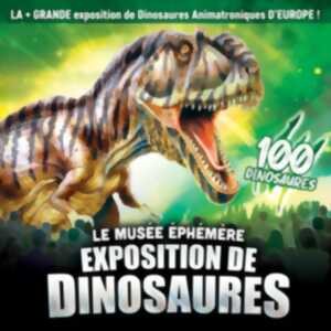 photo Le Musée Ephemère : Exposition de Dinosaures