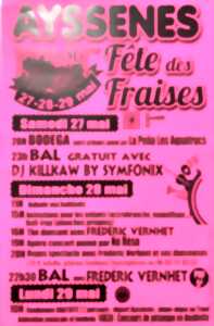 photo Fête des fraises