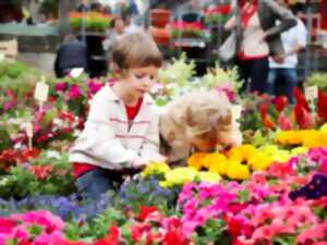 photo Marché aux fleurs de Bazas