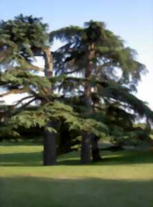 photo Rendez-vous aux jardins : Château Pierrail