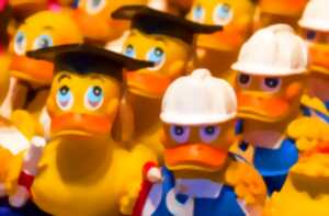 photo Les Estivales : Course de petits canards