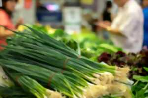 photo Marché cuisiné et musical