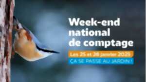 photo WEEK-END DE COMPTAGE NATIONAL DES OISEAUX DE JARDIN