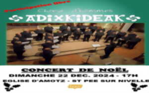 photo Concert de Noël avec Adixkideak