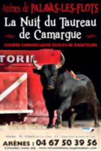 photo LA NUIT DU TAUREAU DE CAMARGUE