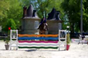 photo Concours de Saut d'Obstacles Jeunes Chevaux