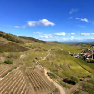 photo Conférence «Vins, géologies et terroirs »