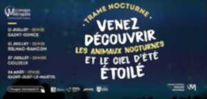 Soirée Trame Nocturne - Limoges