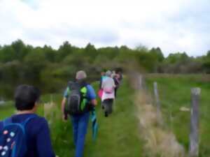 photo A l'écoute du ruisseau de l'étang de Planche Page