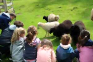 Stage les petits fermiers 3 - 10 ans - Spécial découverte de la laine des moutons.