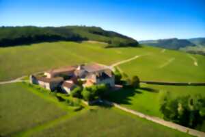 photo Visite du Musée de la vigne et du Vin