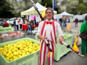 photo Marché des producteurs d'automne