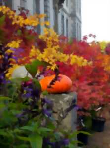 Fête des Jardins au château de Pommorio