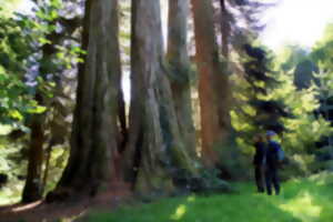 photo Reconnaissance arbres, arbustes du Limousin