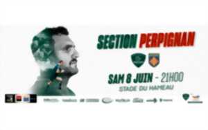 photo Rugby TOP14 Section Paloise Vs Perpignan