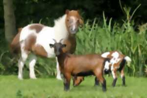 Visite à la ferme