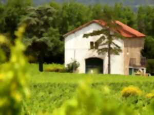 photo L'ÉTÉ EN CORBIÈRES - DOMAINE DE MINGRAUT