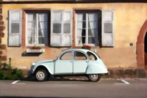 photo Vintage Tour Béarn : Balade en voiture ancienne