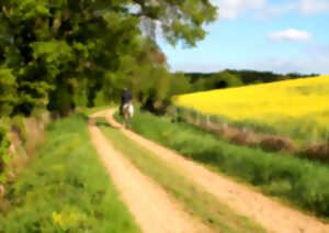 photo Chemins en Fête - rando équestre