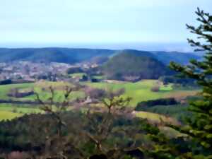 photo JOURNÉES DU PATRIMOINE - BALADE SUR LES ARBRES REMARQUABLES DANS LE MASSIF DE L'AVISON