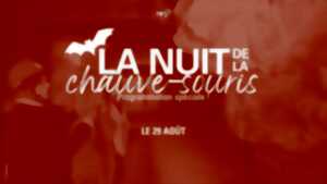 photo Nuit de la chauve-souris | Jeu de piste