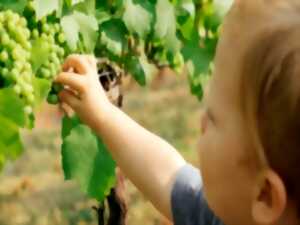 Repas des vendanges