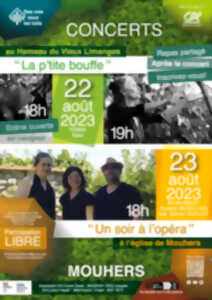 photo Concert de Laëtikèt