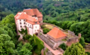 photo Visites guidées du château de La Petite Pierre