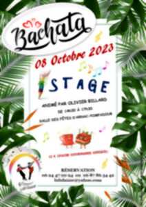 Stage de danse :  Bachata