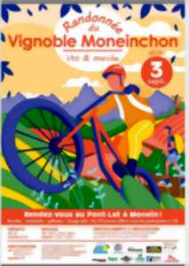 Randonnée du vignoble Moneinchon