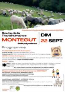 La Route de la Transhumance