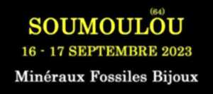 7eme Salon des minéraux fossiles et bijoux