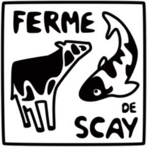 Vente de viande bovine et viande de veau de lait