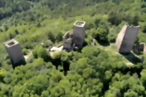 photo Visite commentée des Trois châteaux